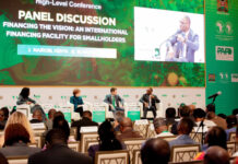 Global and African Financial Experts Urge Action to Enhance Smallholder Farmer Financing