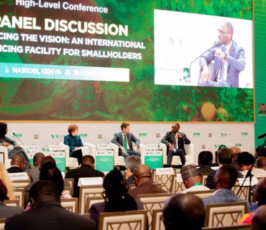 Global and African Financial Experts Urge Action to Enhance Smallholder Farmer Financing