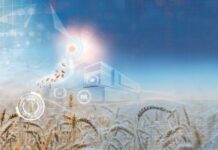 Bühler a leader in smart milling for resilient, sustainable food production