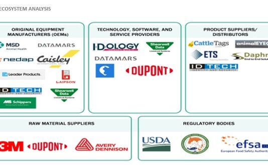 Livestock Identification and Animal Traceability in Africa