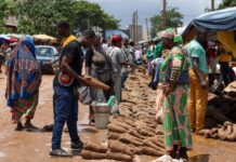 AWARD Calls for Applications for 2025 Young Impact Associates Fellowship in Agrifood Systems