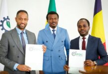 Africa Farming Industries signs deal with Ethiopia to produce and export strawberries and saffron