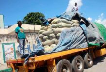 African governments adopt digital solutions to cut trade costs – 2023/24 TMA Report