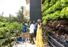 FAO partners with youth-led agritech startup to launch sustainable urban farming project in Kigali