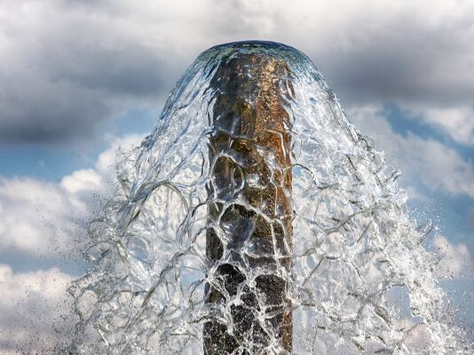 The World Federation for Animals highlights animal welfare’s importance in solving the water crisis this World Water Day