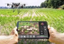 The Rising Wave of Agritech Platforms: Revolutionizing Agriculture for the Future