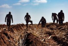 UN World Day for Safety and Health at Work: How Bonsucro is advancing worker safety in the sugarcane sector