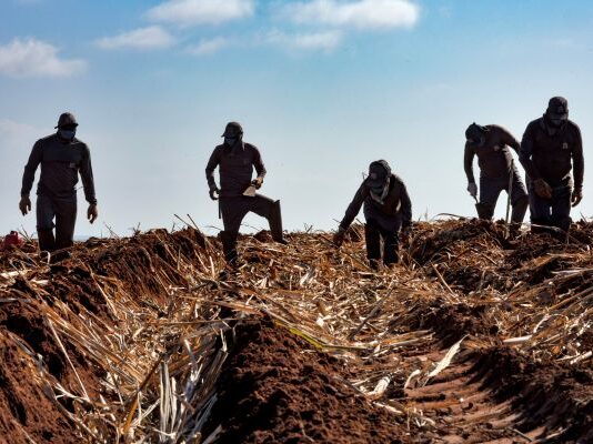 UN World Day for Safety and Health at Work: How Bonsucro is advancing worker safety in the sugarcane sector