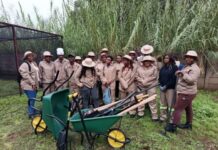 Beyond Decommissioning: Reviving Komati Through Social Investment and a Just Energy Transition