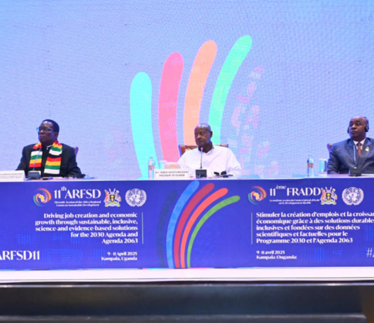African leaders press for fast implementation of the SDGs to drive jobs and inclusive growth