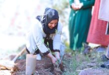 Sewing Sustainability: The High Atlas Foundation’s Zero-Waste Initiative
