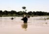 El Niño to intensify ahead of forecast December peak, WMO warns
