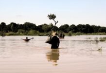 El Niño to intensify ahead of forecast December peak, WMO warns