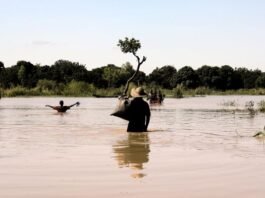 El Niño to intensify ahead of forecast December peak, WMO warns