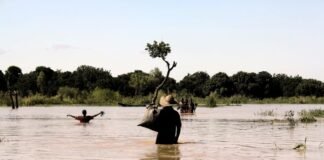 El Niño to intensify ahead of forecast December peak, WMO warns