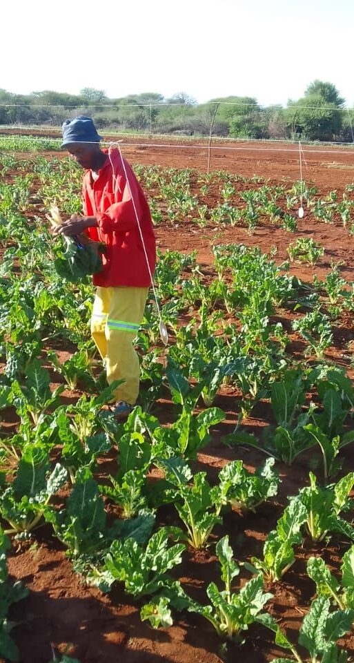 Social employment fund pic (1)