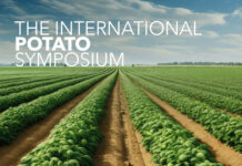 The International Potato Symposium at Macfrut 2025