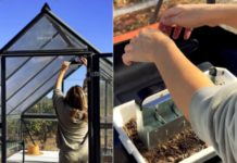 Empowering a new generation of urban gardeners with creative solutions