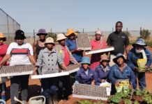 Strengthening Local Food Systems Through Urban Farming and Food Diversity