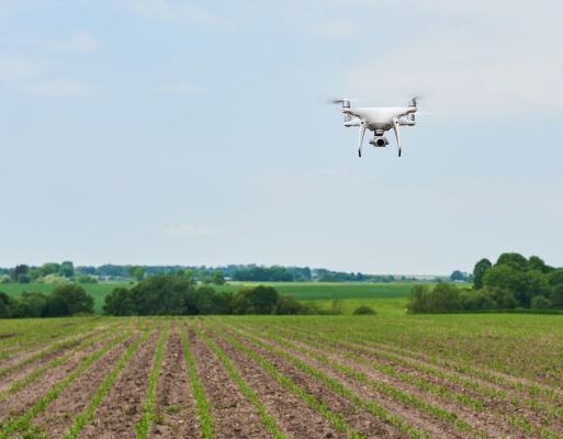 drone-quad-copter-with-high-resolution-digital-camera-green-corn-field