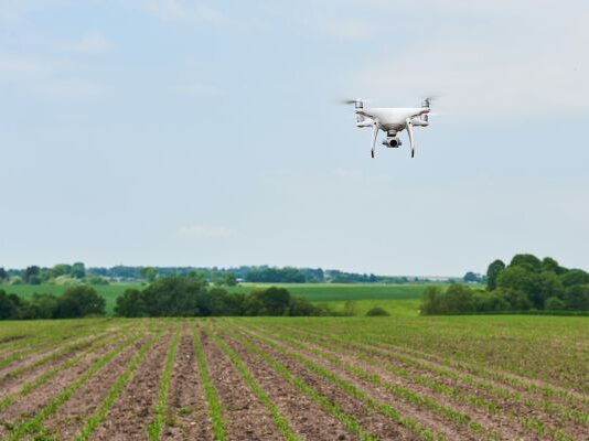 Farm robots drive efficiency gains in African agriculture