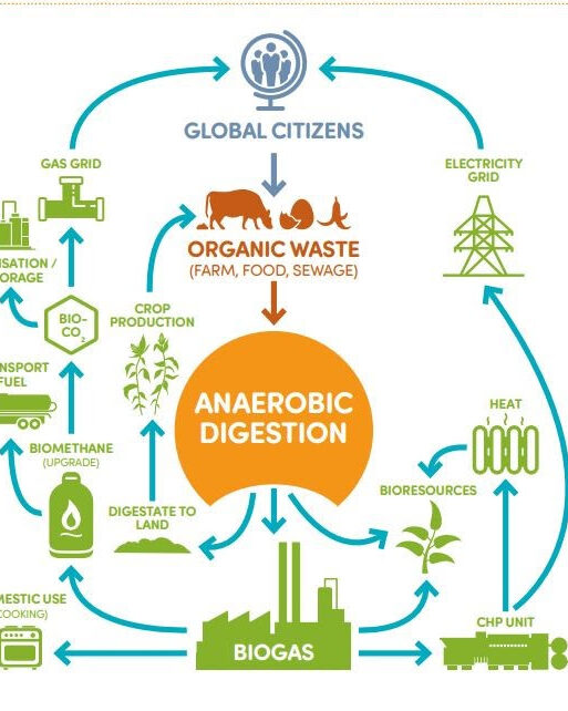 methane gas emissions
