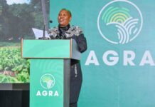 AGRA rallies local investments for African Agricultural Transformation Amid Shifting Development Landscape