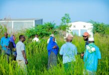 “The land is life”: A regional project supported by the African Development Bank boosts rural women’s climate resilience in Djibouti