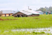 Data-driven farming initiative in Kenya records triple win: Climate adaptation, nutrition and equity