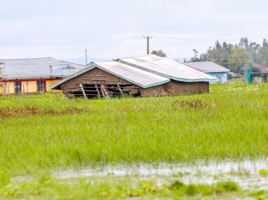 Data-driven farming initiative in Kenya records triple win: Climate adaptation, nutrition and equity