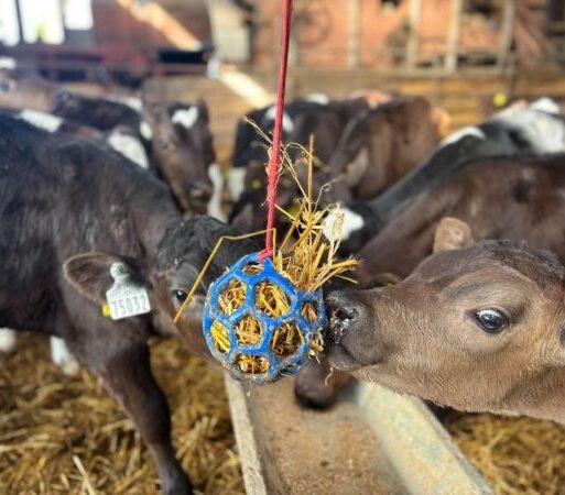 Credit_Stewart Family Farm (002)