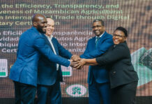 Mozambique launches e-Phyto system to automate license issuance for plant product exports and boost market competitiveness
