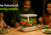 FarmXic Unveils New Soilless Farming Innovations to Transform Urban Agriculture Across Nigeria
