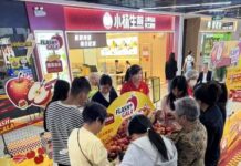 Flash Gala surpasses one million cartons: A South African apple success story