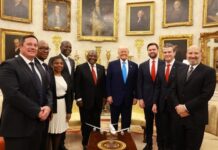 A New Titan on the Block: The International Commodity Summit versus G20 Summit