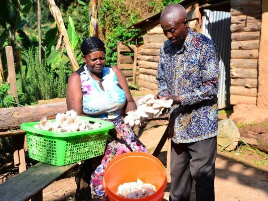 Hero Mushroom Transforms Rural Communities in Uganda to Save Cranes
