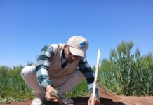 Rooted in Resilience: The Power of Monitoring in Promoting Plant Health