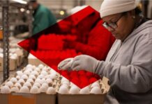 Comprehensive industry solutions from RS South Africa for the food and beverage sector