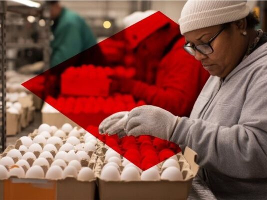 Comprehensive industry solutions from RS South Africa for the food and beverage sector