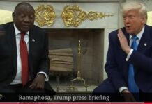 Trump’s ambush bleeding millions for South Africa’s economy