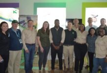Efficiency, trade facilitation and sustainability – the driving force behind the Nedbank Agribusiness and PrysWys collaboration