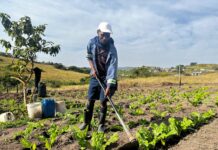 Thanda’s Agroecology Initiative Aims to Shift the Future for Young South Africans as Youth Unemployment Reaches Crisis Levels
