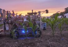 DLG sponsors 22nd international Field Robot Event in Italy – a window into Agritechnica’ digital farm centre