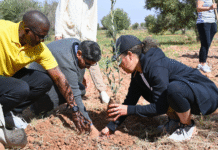 A Journey Through Roots and Rugs: Experiencing the Soul of Akrich and Achbarou