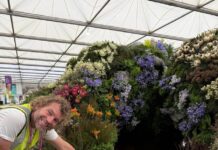 A taste of the Cape at Chelsea Flower Show and a fox’s favourite stop