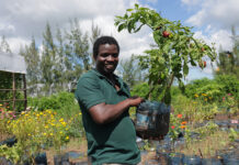 The PURE Growth Fund Opens Call for Proposals for Clean Energy and Agribusinesses in Tanzania