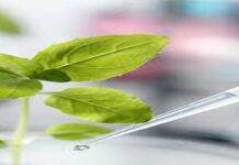 Biotechnology Development in Africa