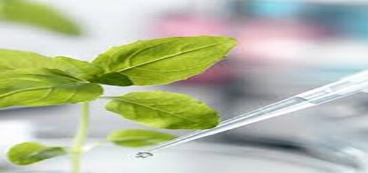 Biotechnology Development in Africa