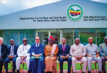 West Africa’s Soil Health Hub to Unveil Digital Tools to Boost Yields and Climate Resilience for Smallholders