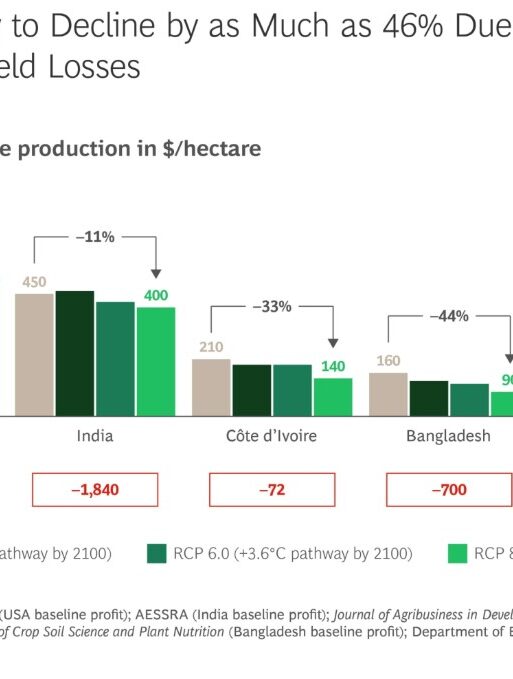 Farmer profitability for rice production in $ hectare